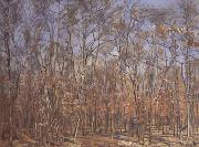 Ferdinand Hodler The Beech Forest (nn02) oil painting on canvas